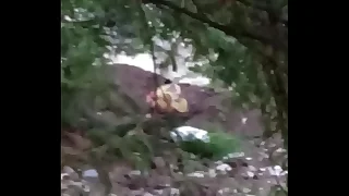 Vaghari aunty pee outdoor part 1